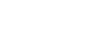 log w 0012 WordPress logotype standard white Home